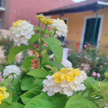 Holiday home Princess House *